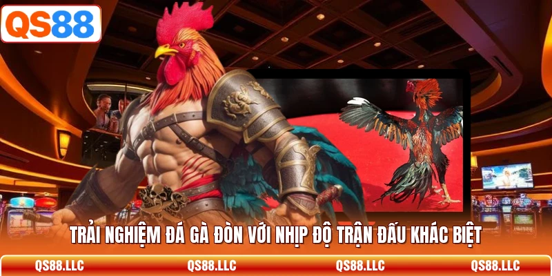 Trải nghiệm đá gà đòn với nhịp độ trận đấu khác biệt
